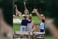 Zoológico na Dinamarca pede doação de pets para alimentar predadores