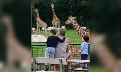 Zoológico na Dinamarca pede doação de pets para alimentar predadores