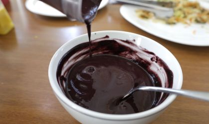 Açaí pode causar doença de Chagas? Entenda polêmica da COP30