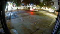 SP: Justiça ordena prisão preventiva de motorista que matou mulher atropela