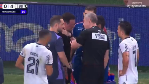 Assistente Jorge Eduardo Bernardi leva a mão ao ombro após cair em Fortaleza x Botafogo; Assistente foi substituído