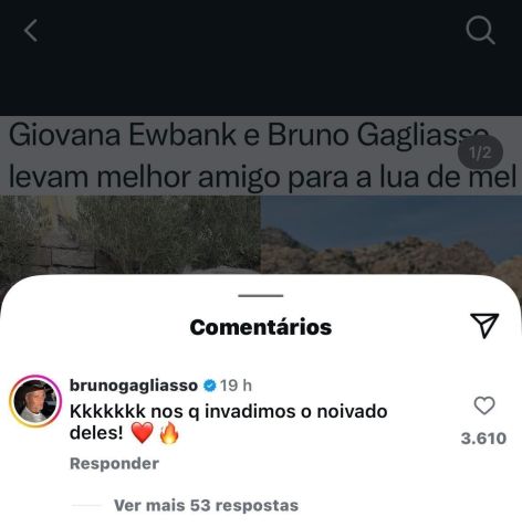 Bruno Gagliasso comentou em uma publicação sobre o assunto • Reprodução