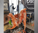 Churrasco de jacaré é apreendido em evento no Estádio Mané Garrincha