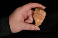 Nova descoberta oferece pistas dos antigos humanos "hobbits"