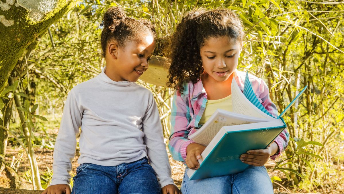 Dia do Folclore: entenda importância das tradições populares na educação