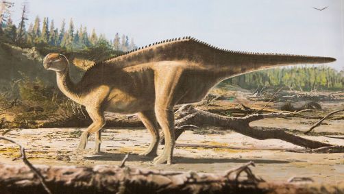 Dinossauro teria uma característica exagerada semelhante a uma vela nas costas