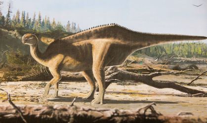 Nova espécie de dinossauro com "vela" nas costas é descoberta na Inglaterra
