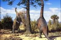 Dinossauros de pescoço longo andavam sobre duas patas, revela estudo