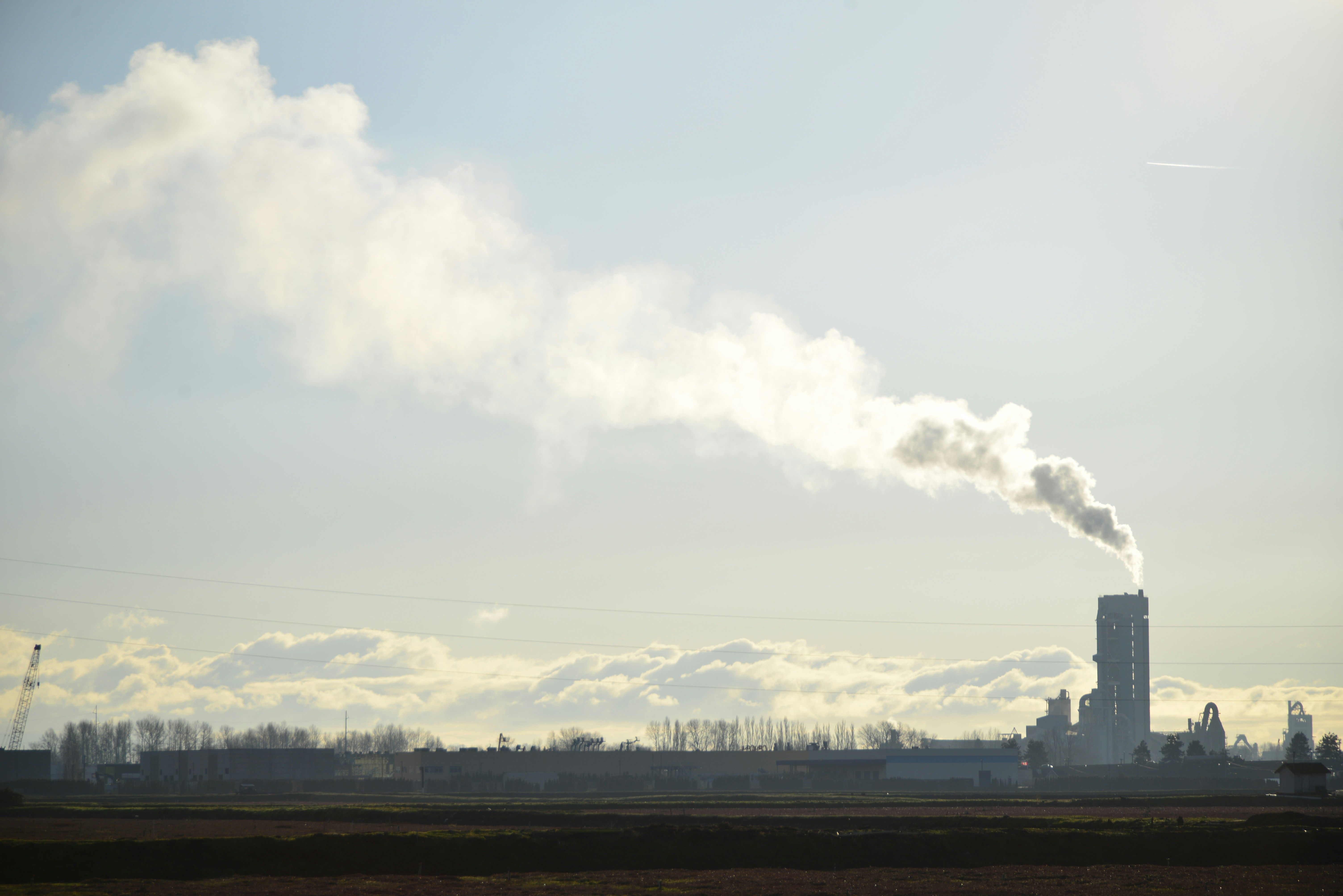 emissões de carbono cop 30