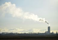 ONU diz que compromissos climáticos vão reduzir emissões em 12% até 2035