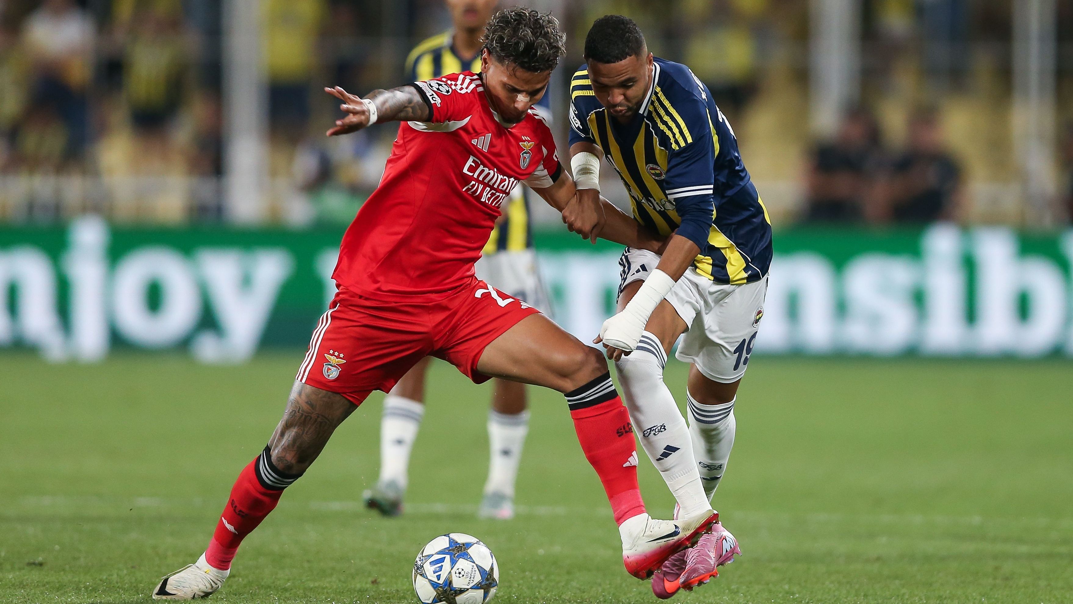 Lance de Fenerbahçe x Benfica, pela Champions League