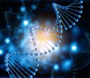 DNA "lixo" pode ter papel fundamental no desenvolvimento humano, diz estudo