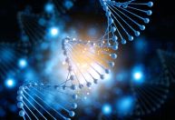 Cientistas editaram gene que pode reduzir colesterol alto permanentemente