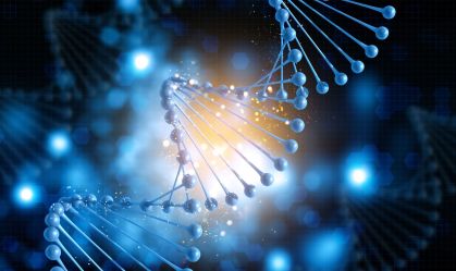 DNA "lixo" pode ter papel fundamental no desenvolvimento humano, diz estudo