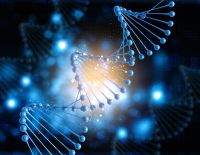 DNA "lixo" pode ter papel fundamental no desenvolvimento humano, diz estudo