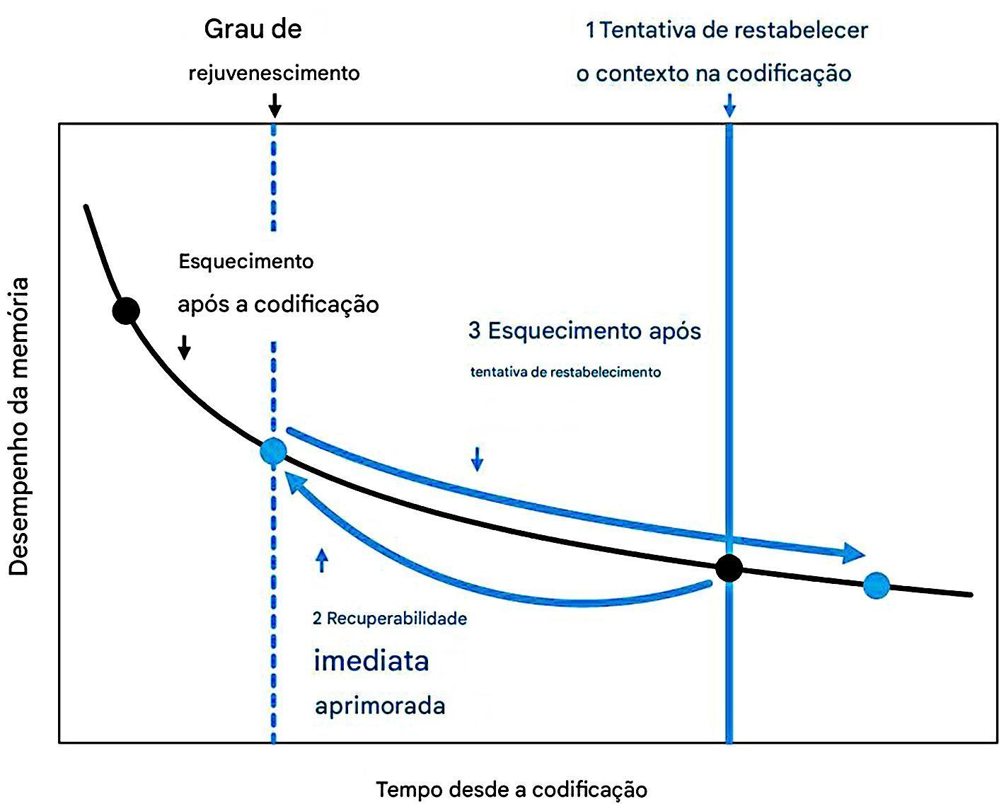 gráfico-da-hipótese-do-rejuvenescimento-da-memória