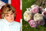Princesa Diana recebe homenagem do irmão 28 anos após a sua morte