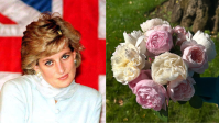 Princesa Diana recebe homenagem do irmão 28 anos após a sua morte