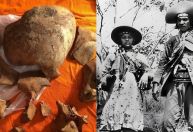 Crânios de Lampião e Maria Bonita seguem conservados em museu: entenda como