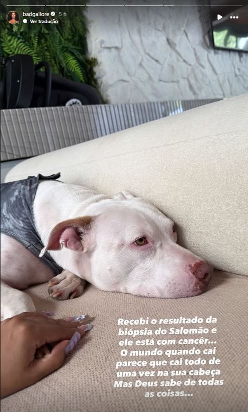 Lorena Maria compartilhou foto de Salomão nas redes sociais • Instagram/Lorena Maria