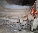 Fósseis de 75 mil anos revelam vida no Ártico da Era Glacial