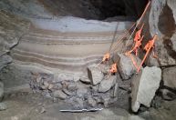 Fósseis de 75 mil anos revelam vida no Ártico da Era Glacial
