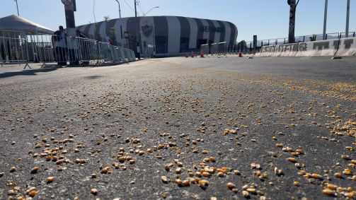 Milho no entorno da Arena MRV antes de Atlético-MG x Cruzeiro