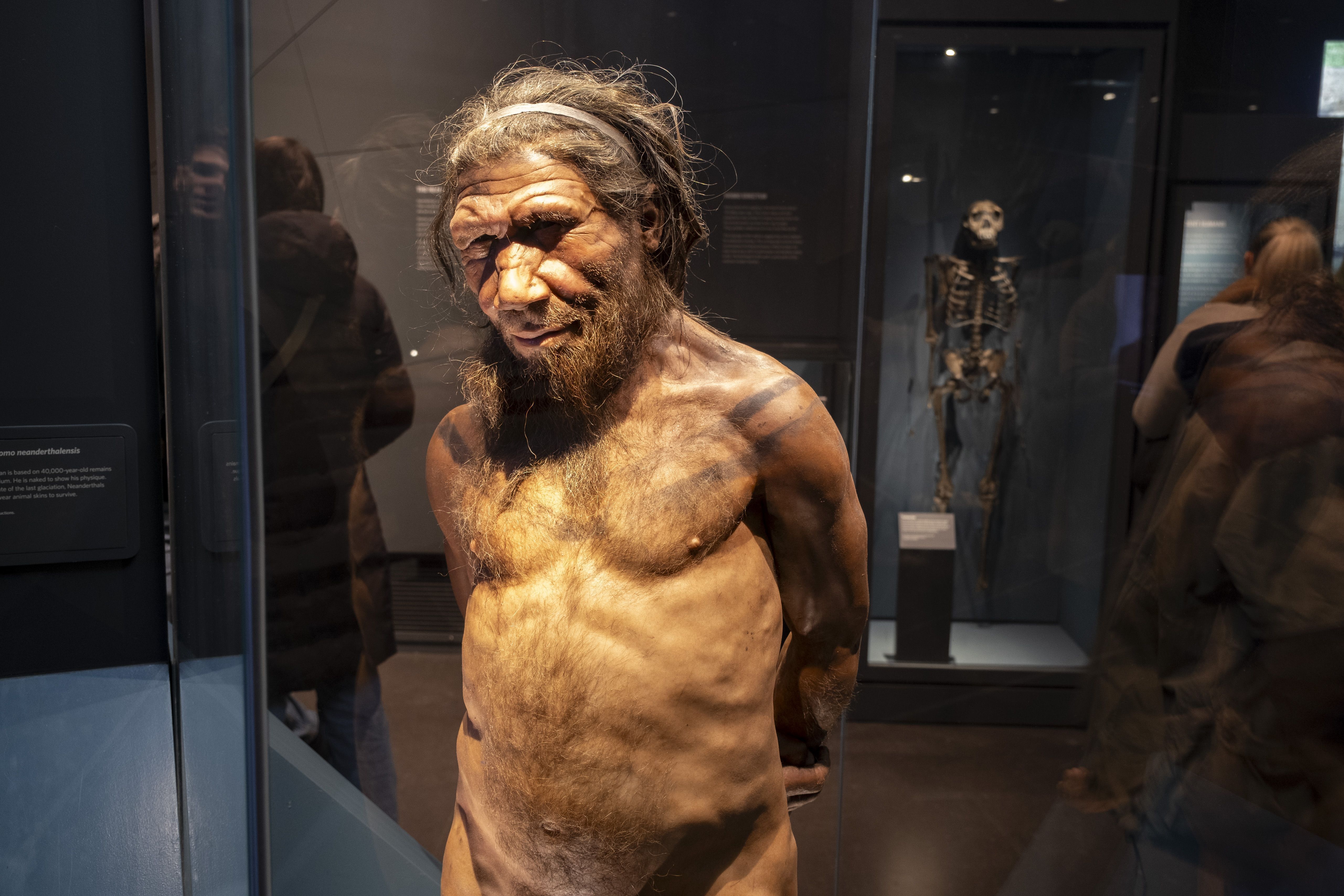 Homem neandertal