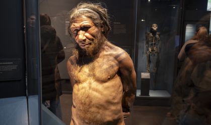 Enzima única pode explicar sobrevivência dos humanos modernos