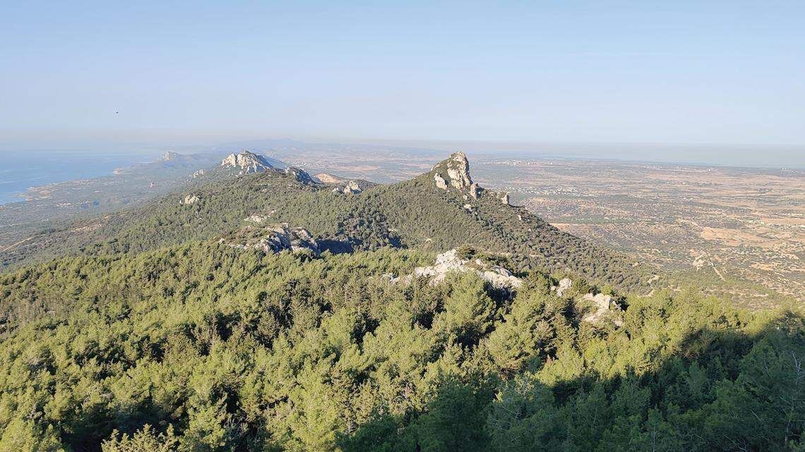 Espécie habita a região do Mediterrâneo oriental, incluindo Croácia, Grécia, Chipre e Turquia • Peter Huemer/Alpine Entomology