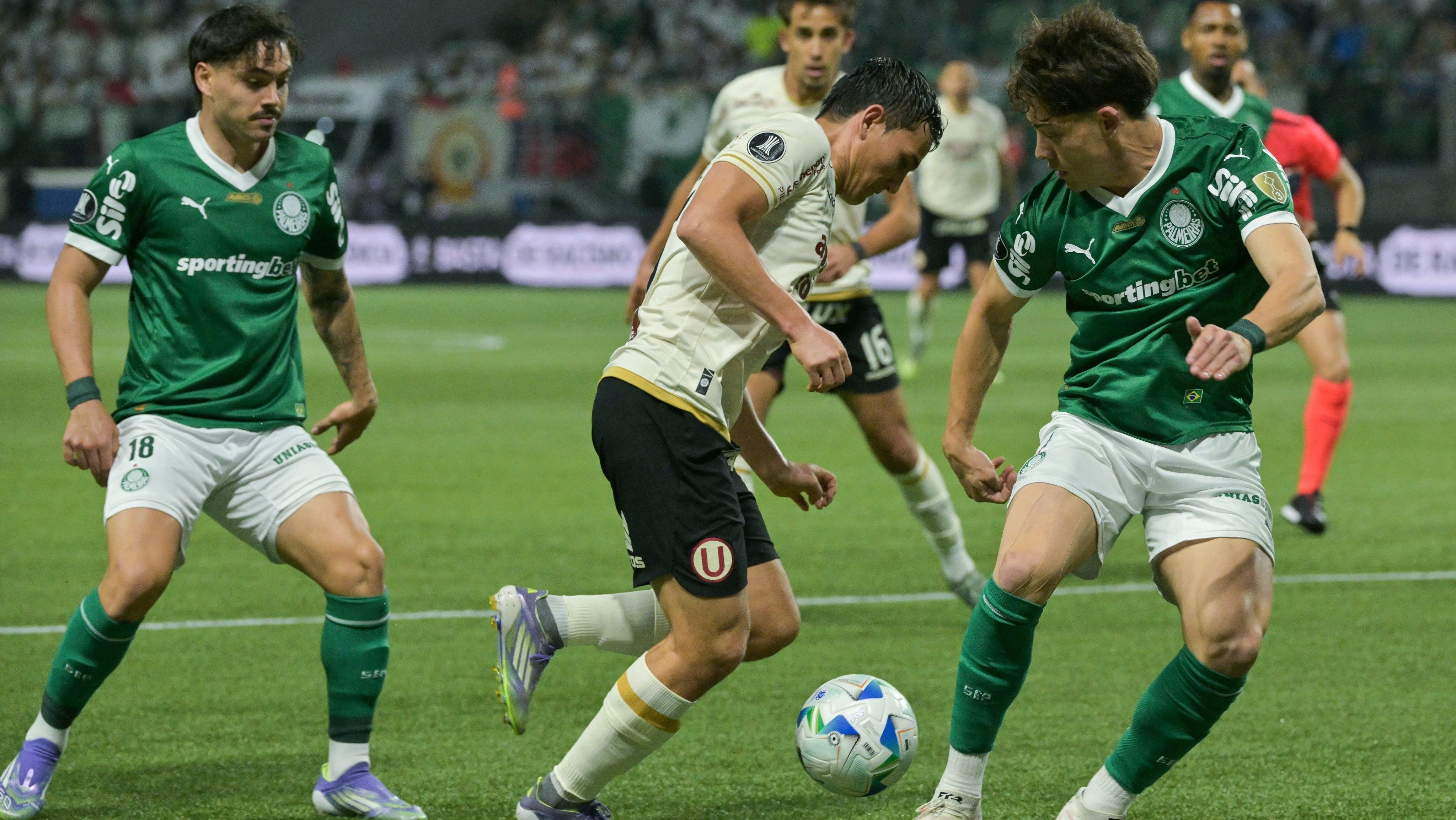 palmeiras-uni