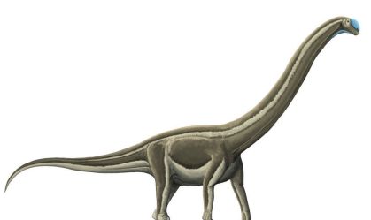 Doença óssea dizimou dinossauros pescoçudos no atual interior de SP