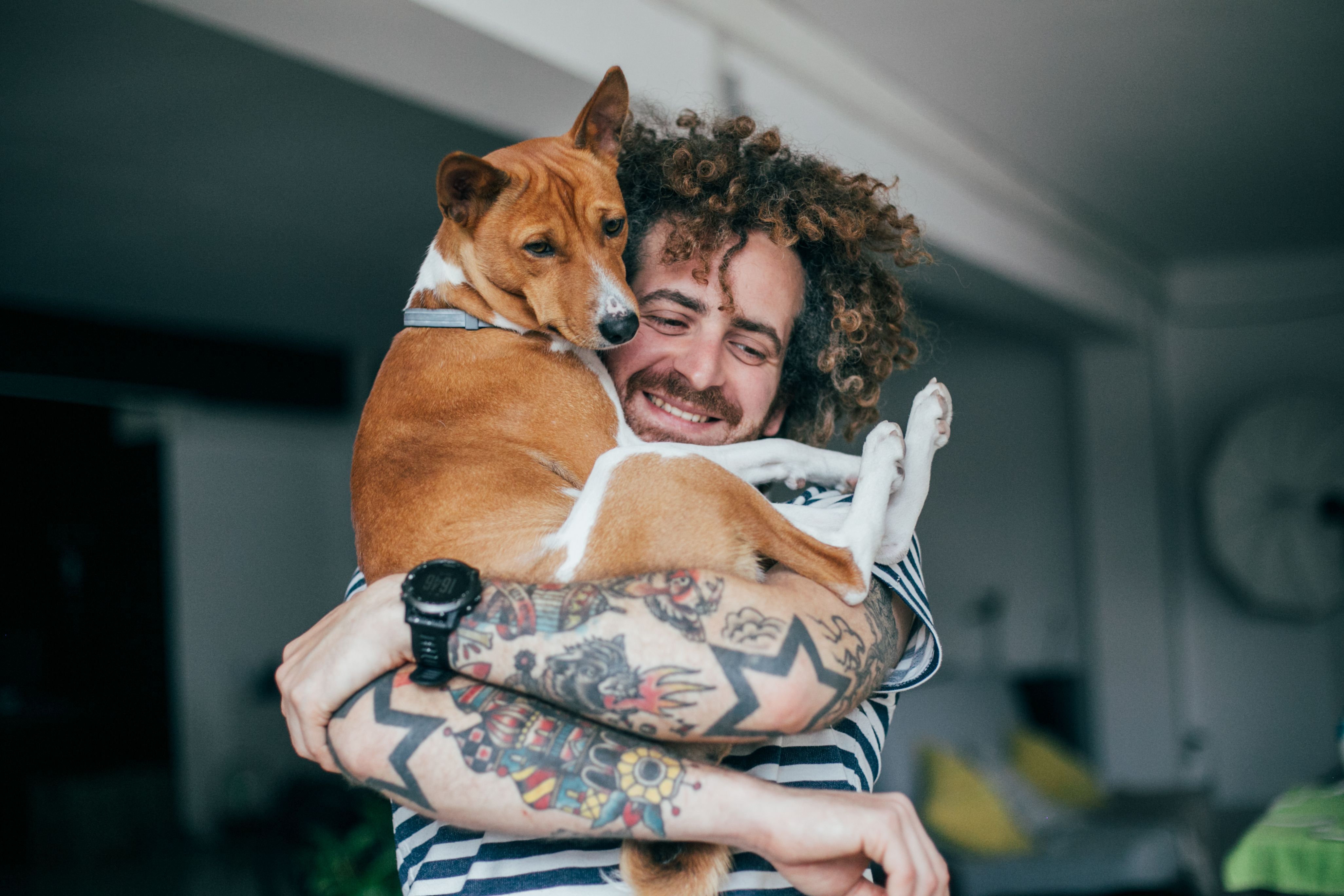 Pets e tutores
