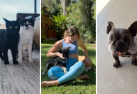 Paolla Oliveira brinca ao lado dos pets em novos registros; veja