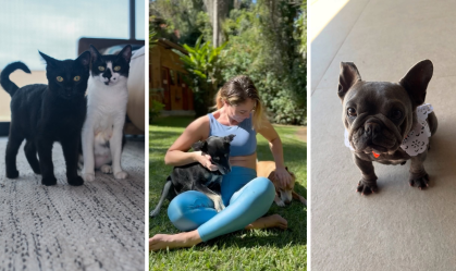 Paolla Oliveira brinca ao lado dos pets em novos registros; veja