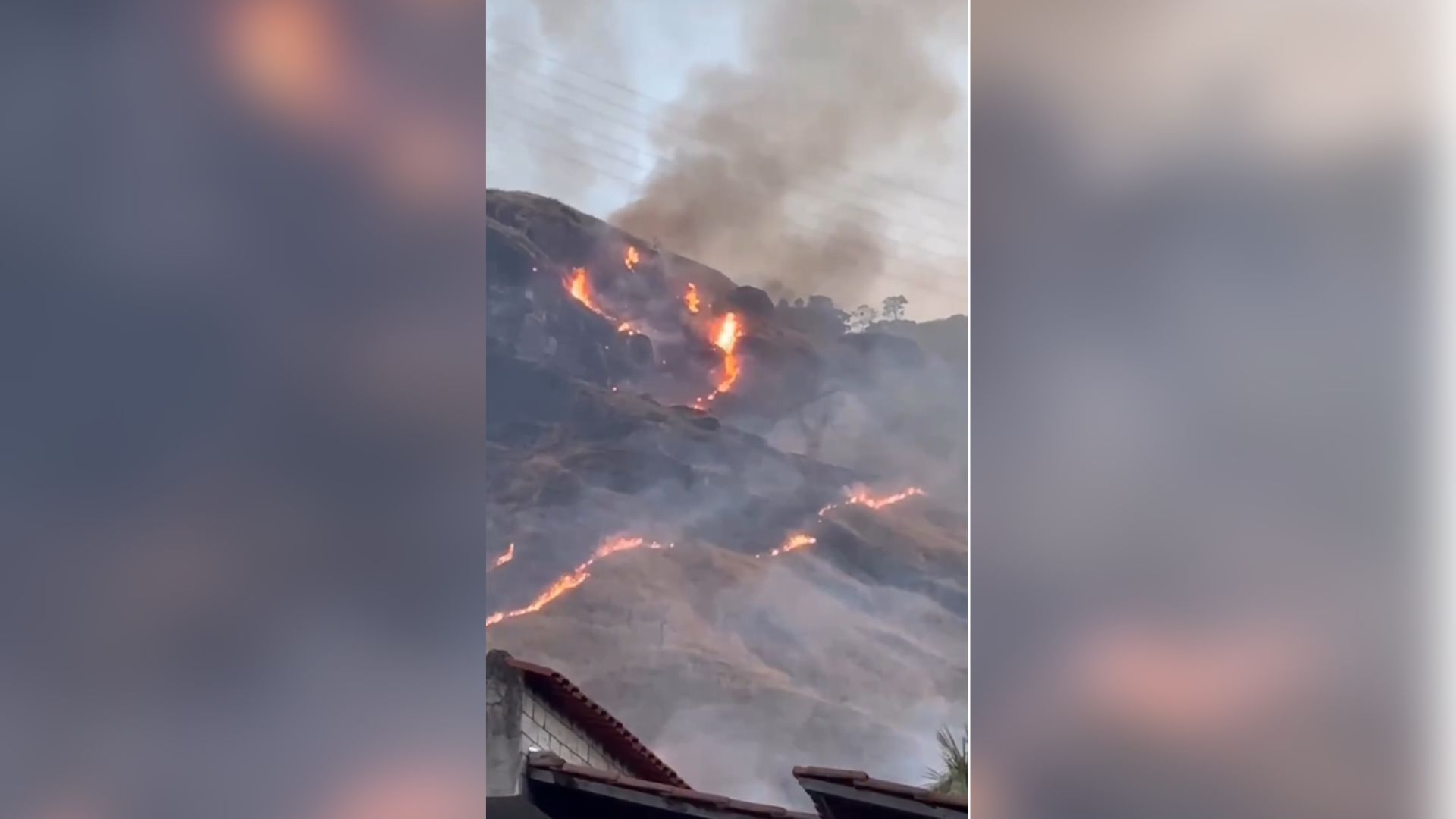 INCÊNDIO PARQUE ESTADUAL RJ