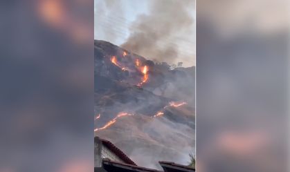 Vídeo: incêndio atinge vegetação do Parque da Pedra Branca, no Rio