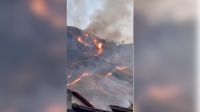 Vídeo: incêndio atinge vegetação do Parque da Pedra Branca, no Rio