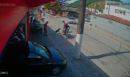 Vídeo: Cachorro reage a suposta tentativa de assalto no litoral de SP