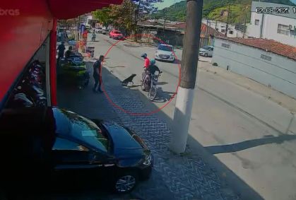 Vídeo: Cachorro reage a suposta tentativa de assalto no litoral de SP