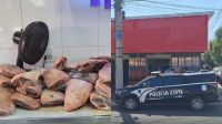 Furto de 2 toneladas de carne revela venda ilegal de picanha em MG