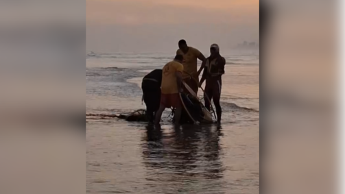 Paramotor foi retirado da água pelo GBMar e homens foram encontrado ilesos e conscientes