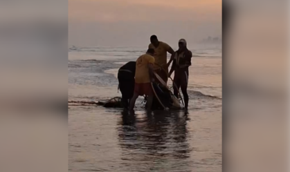 Vídeo: paramotor cai e duas pessoas são resgatadas em Praia Grande (SP)