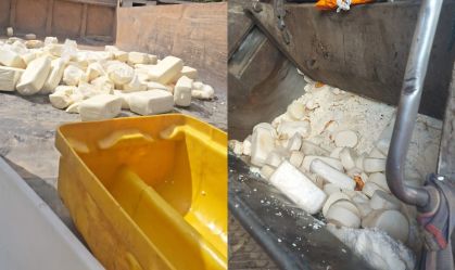 Cerca de 2 toneladas de queijo são apreendidas em queijaria clandestina