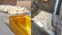 Cerca de 2 toneladas de queijo são apreendidas em queijaria clandestina