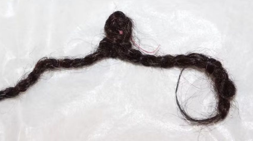 A análise de isótopos de carbono, nitrogênio e enxofre no cabelo permitiu descobrir a dieta de quem doou a mecha para o quipu encontrado • Divulgação/Universidade de St. Andrews