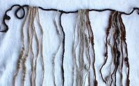 Cabelo humano traz novas pistas sobre sistema de escrita do Império Inca