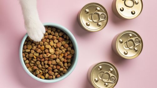 Nutrição e suplementos para animais de estimação