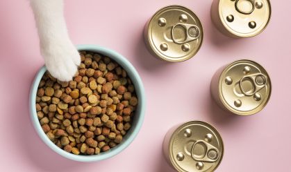 Nutrição e suplementos para animais de estimação