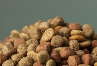 Brasil habilita 40 plantas para exportação de pet food à Costa Rica